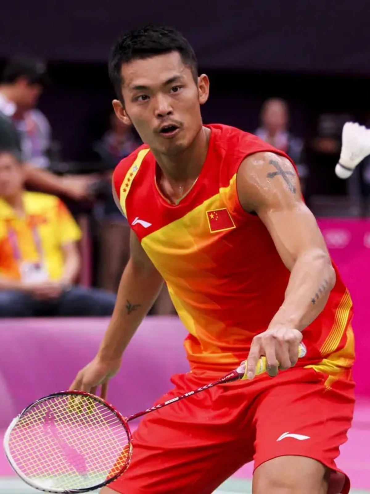 需要极高的 需要极高的