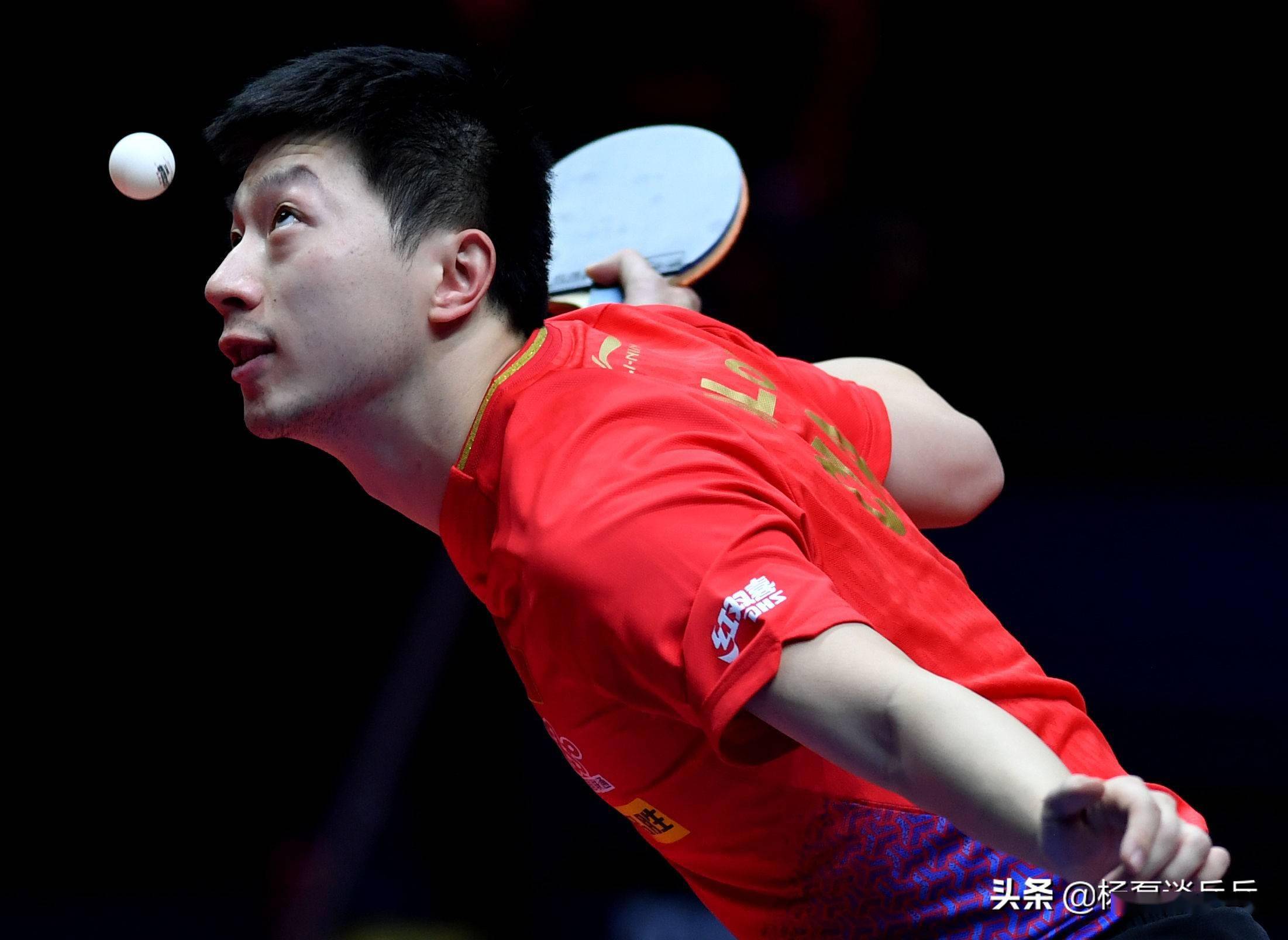 了新的活力 了新的活力